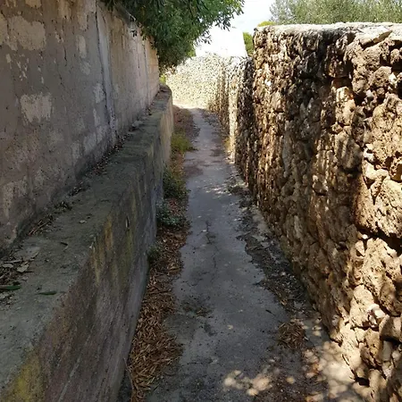 Vetrano *